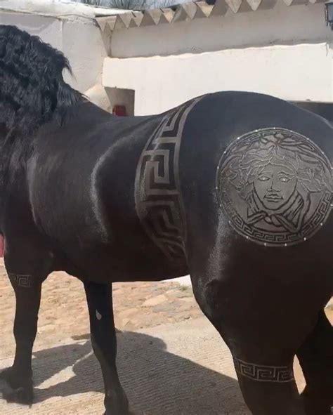 versace texture horses|versace horse.